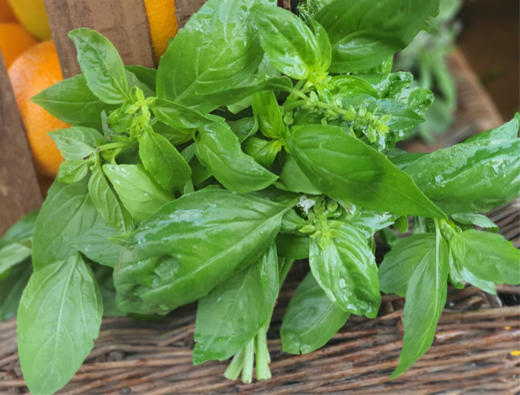 Saveurs O'Naturel - Marchés de St Sébastien