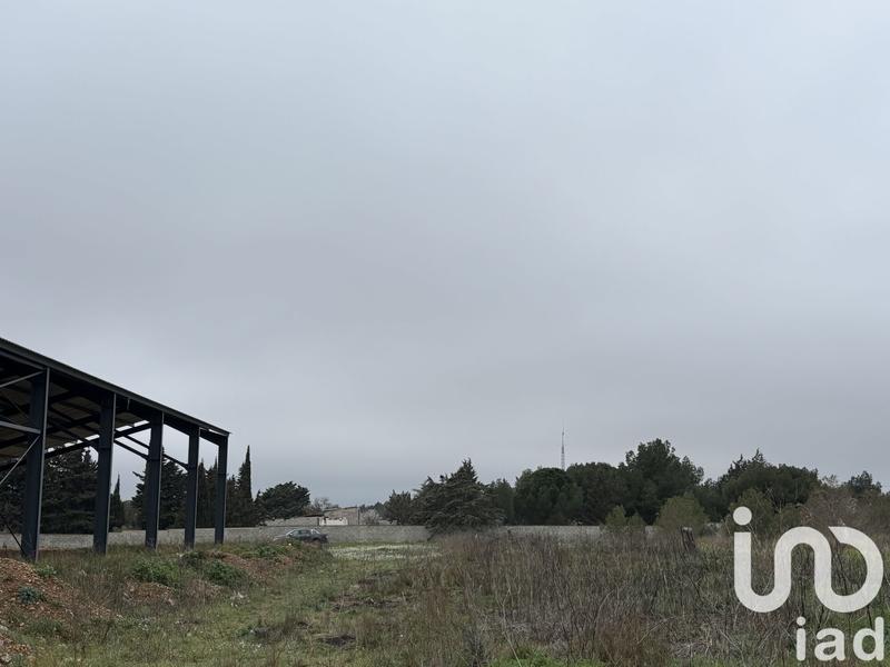 Terrain - 16 205 m²