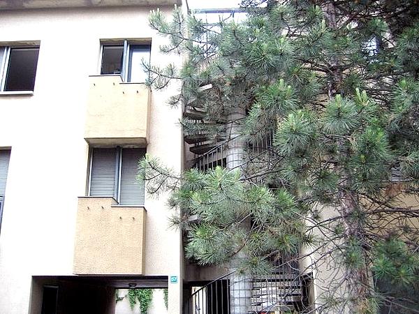 Studio - 18 m² - 1 pièce