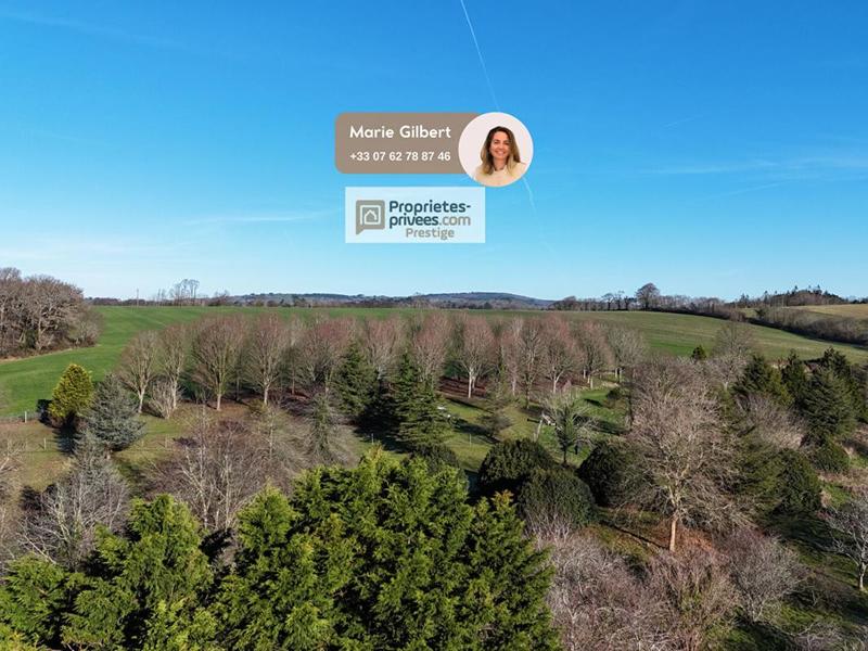 Maison - 233 m² - 8 pièces