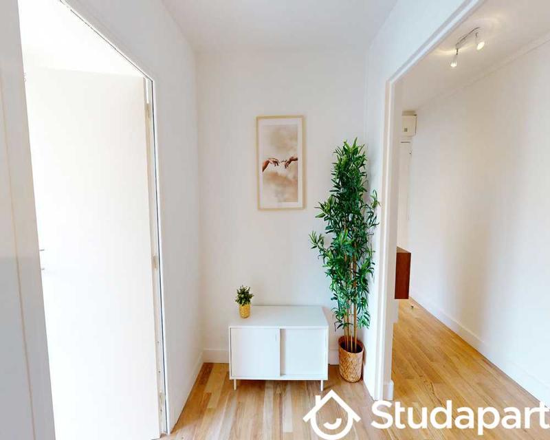 Chambre - 50 m² - 1 pièce
