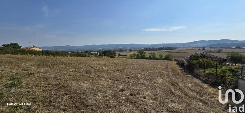 Terrain - 4 317 m²