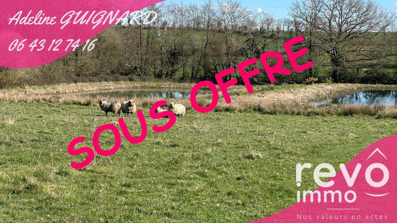 Terrain - 13 538 m²