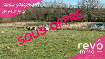 Terrain - 13 538 m²