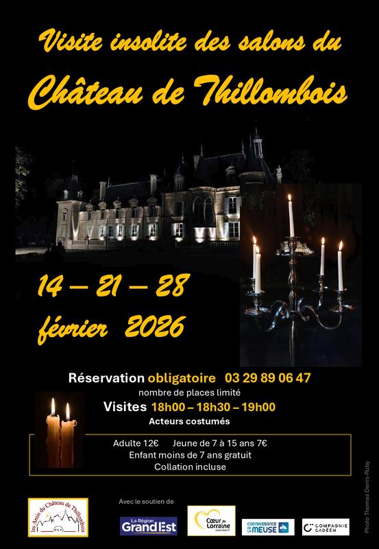 Visite insolite des salons du château de Thillombois