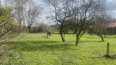 Maison - 230 m² - 6 pièces