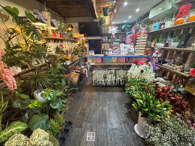 Local commercial - 53 m² - 2 pièces