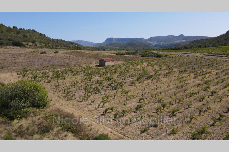 Terrain agricole - 8 710 m²