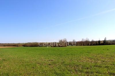 Propriété - 205 m² - 6 pièces