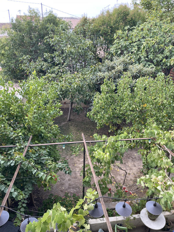 Appartement - 53 m² - 3 pièces