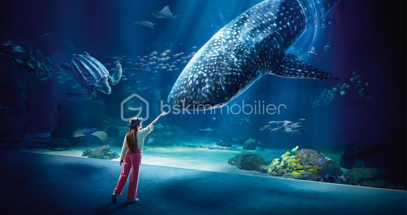 Appartement - 48 m² - 3 pièces