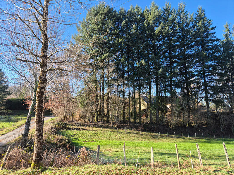 Maison - 33 m² - 2 pièces