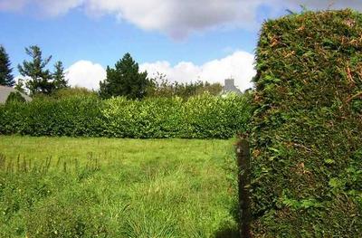 Terrain constructible - 906 m²