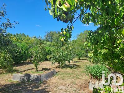 Maison - 84 m² - 3 pièces