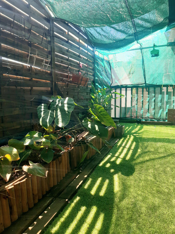 Maison - 157 m² - 6 pièces