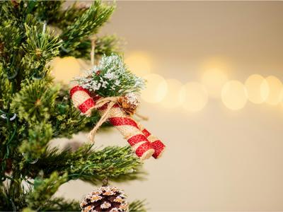 Lectures de Noël à l'abbaye