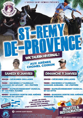 Week-end hivernal à Saint-Rémy-de-Provence