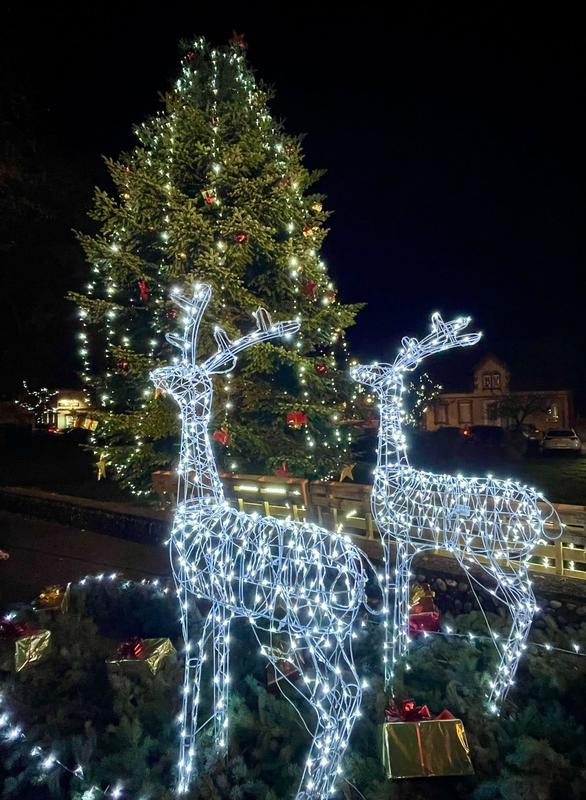 Chasse aux trésors de Noël : un voleur trop gourmand !