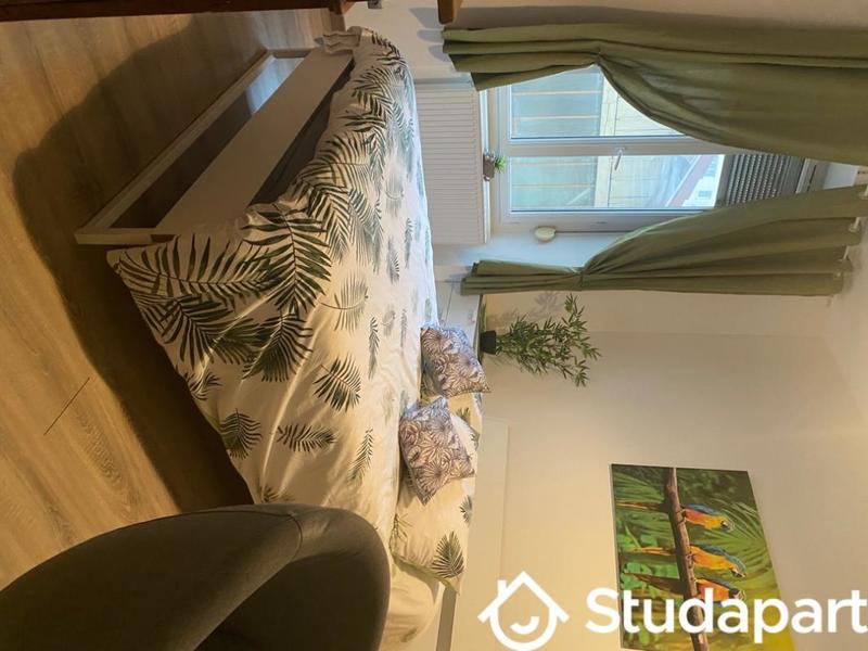 Chambre - 15 m² - 1 pièce