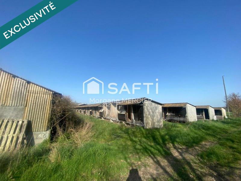 Terrain agricole - 5 000 m²