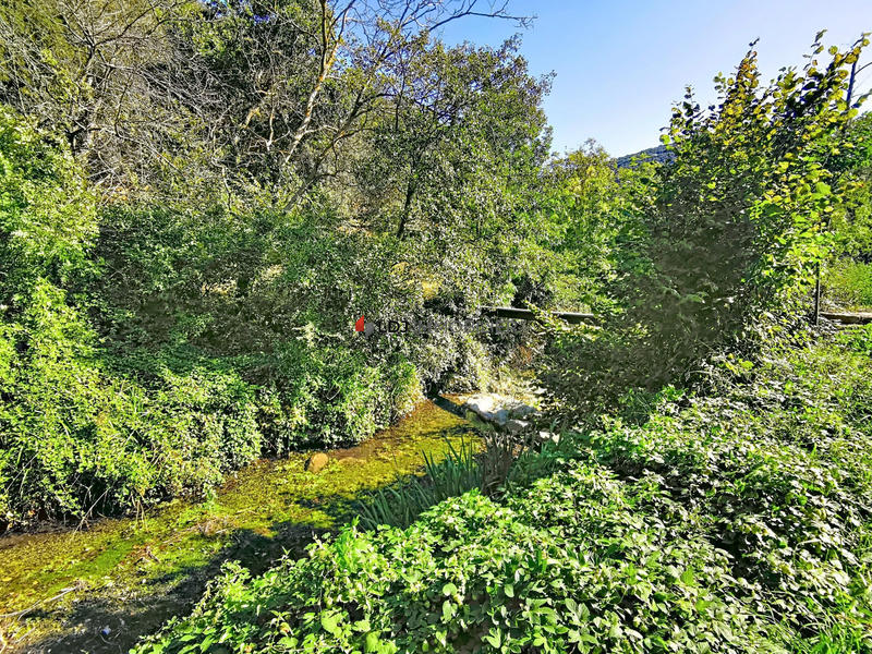 Maison - 350 m² - 12 pièces