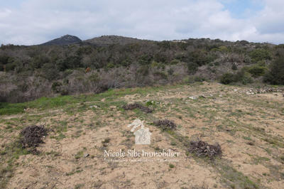 Terrain agricole - 4 160 m²