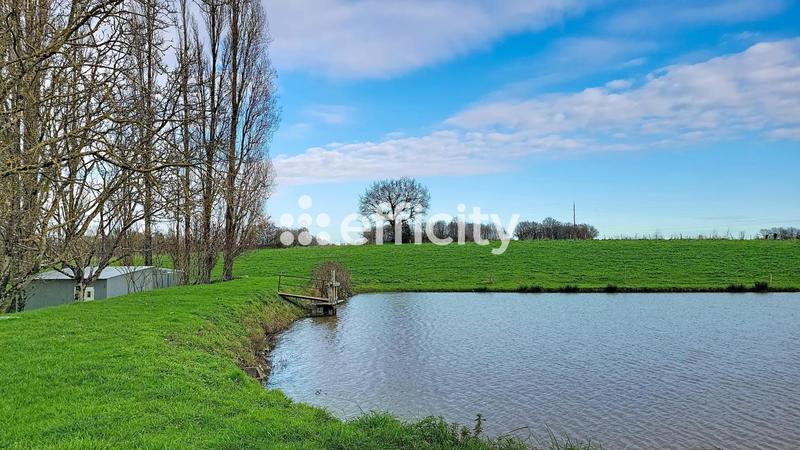 Étang - 43 196 m²