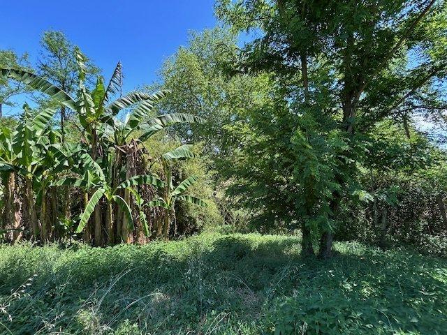 Maison - 137 m² - 5 pièces