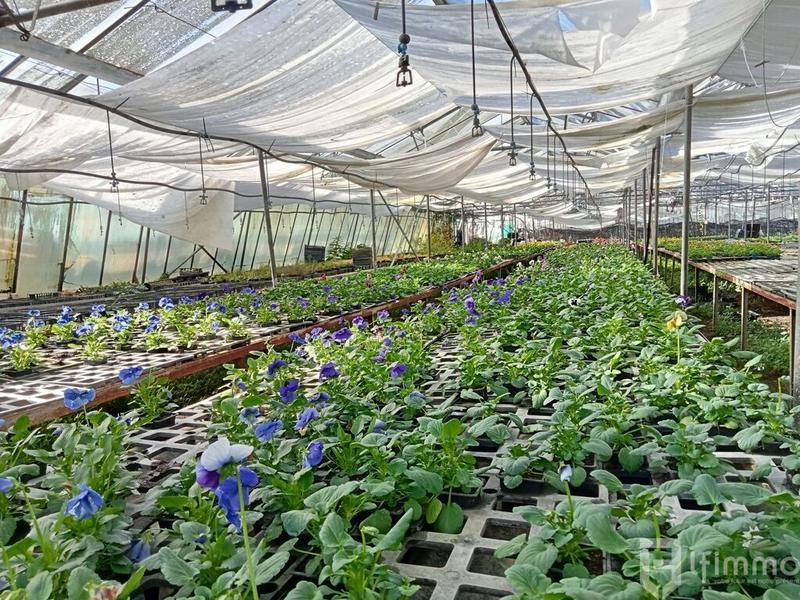 Fonds de commerce - Bureau - 3 000 m²