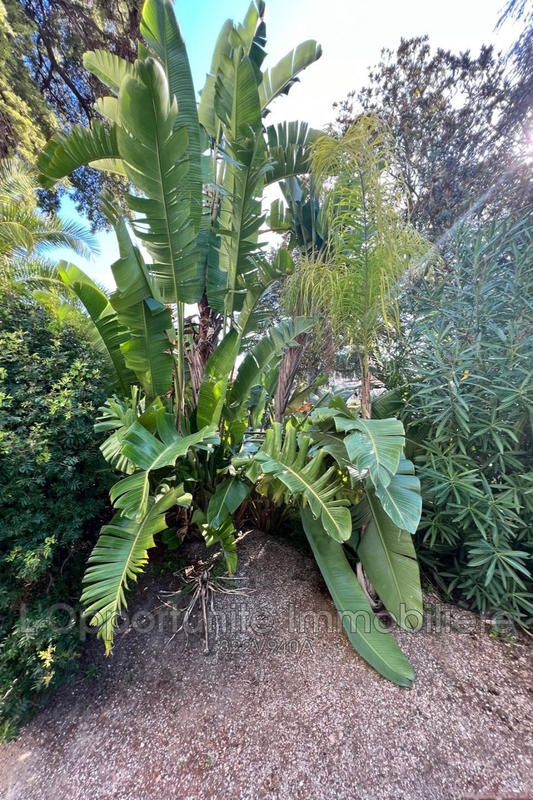 Appartement - 39 m² - 1 pièce