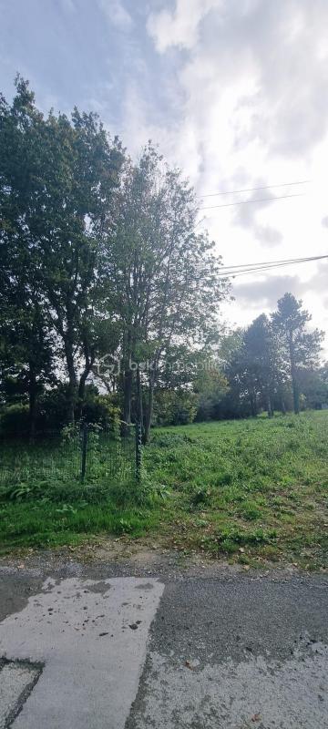 Terrain constructible - 995 m²