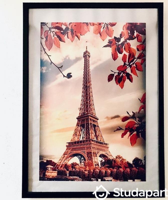 Chambre - 12 m² - 1 pièce