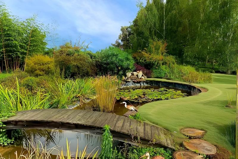 Local d'activités - 310 m² - 5 pièces