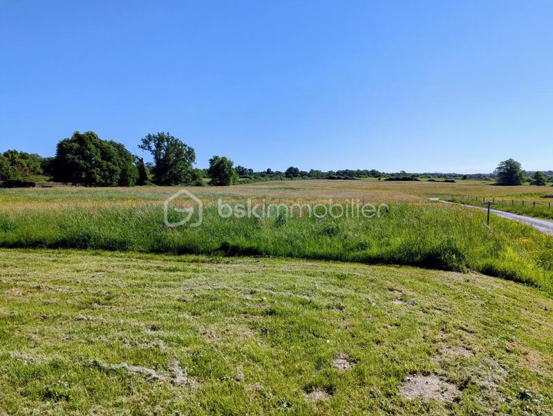 Maison ancienne - 130 m² - 6 pièces