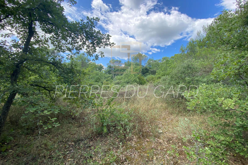 Terrain de loisirs - 8 898 m²