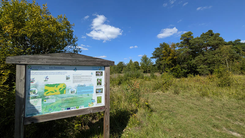 Sortie nature à Chermizy-Ailles : "Les orchidées, fines stratèges !"