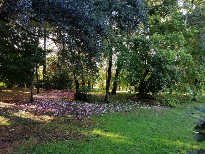 Maison - 205 m² - 7 pièces