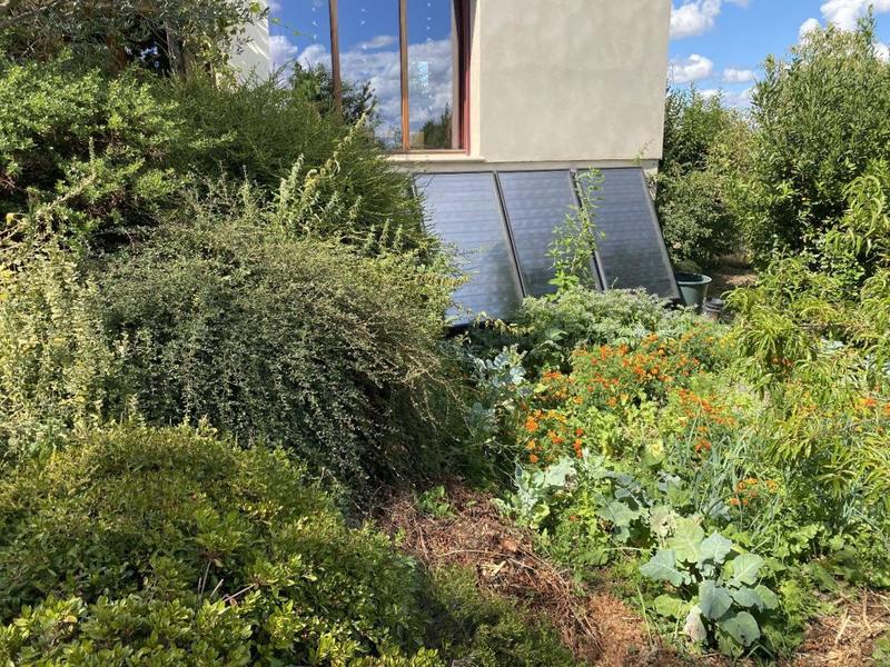 Maison - 205 m² - 7 pièces