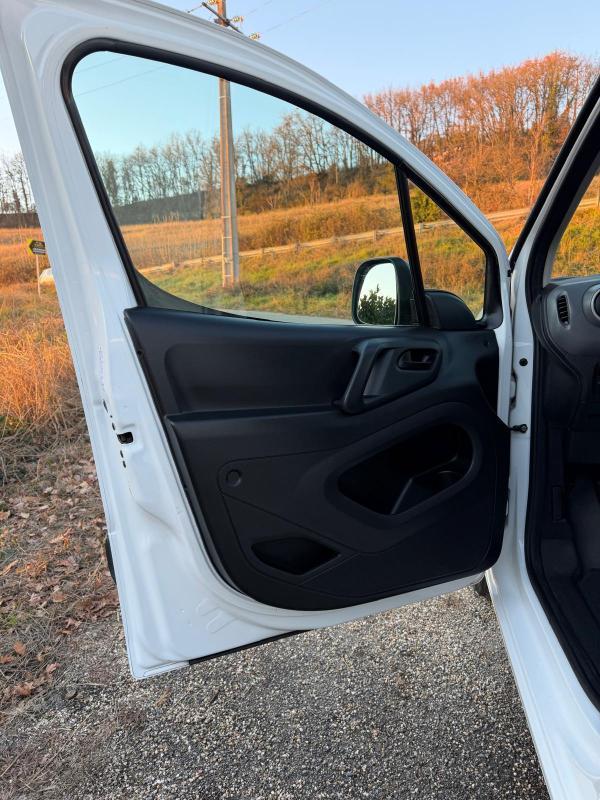 Citroën Berlingo business