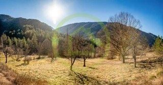 Maison - 250 m² - 4 pièces