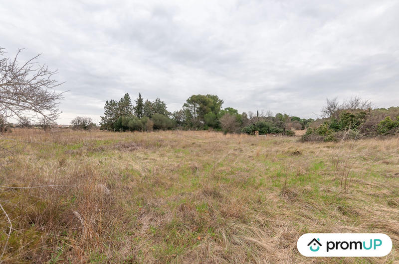 Terrain agricole - 10 601 m²