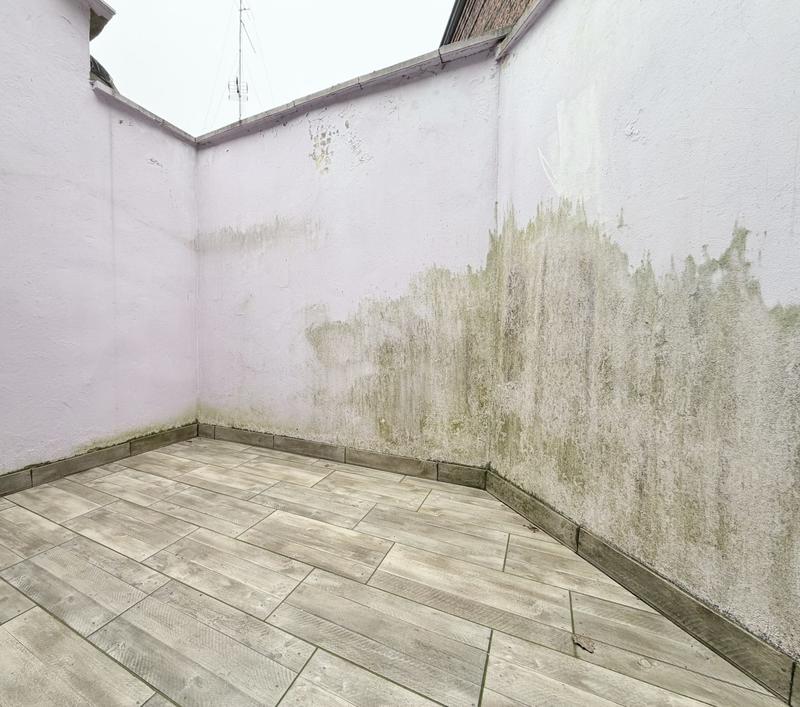 Maison ancienne - 75 m² - 5 pièces