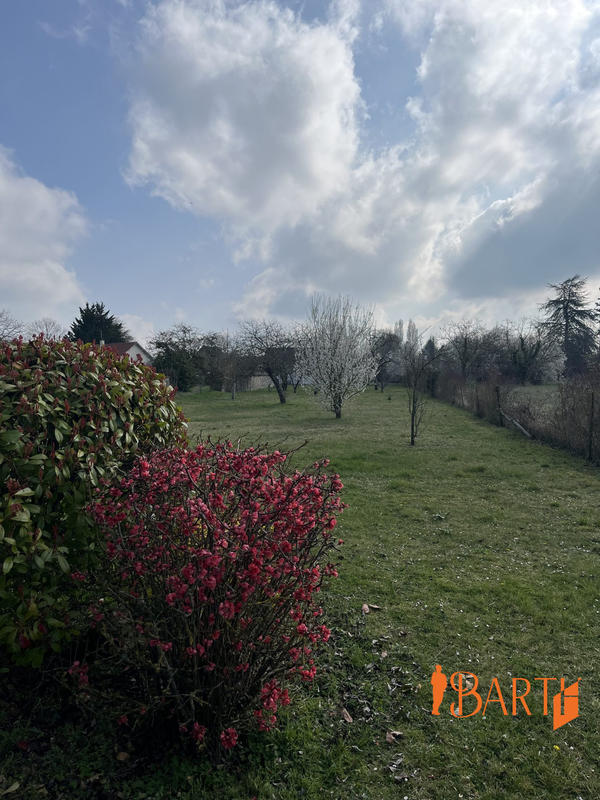 Maison ancienne - 150 m² - 5 pièces