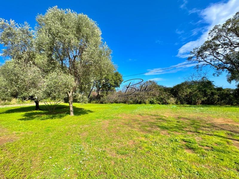 Maison - 206 m² - 7 pièces