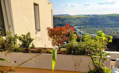 Appartement - 86 m² - 5 pièces