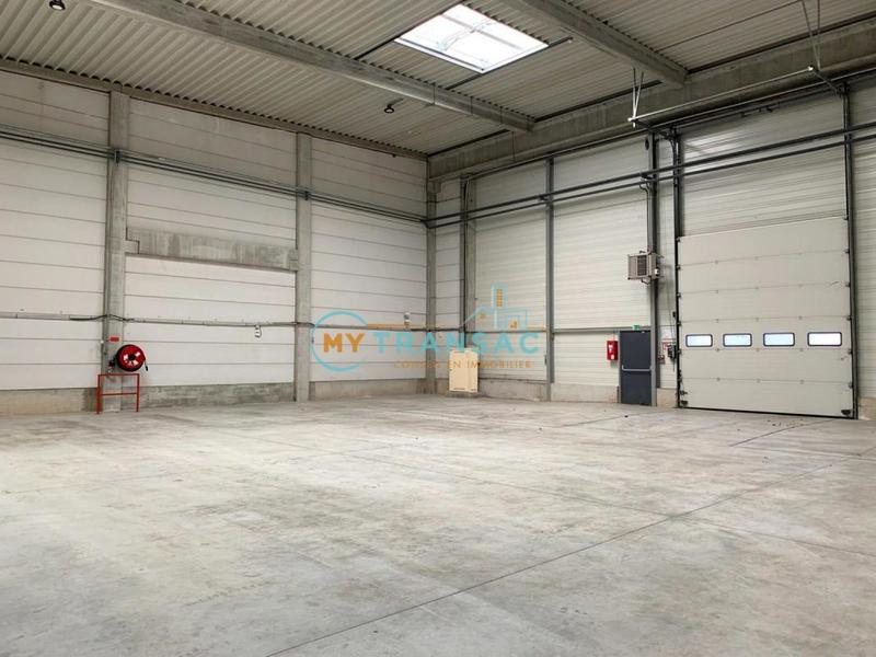 Local d'activité / Entrepôt - 3 290 m²