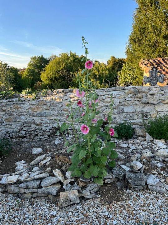 Maison - 105 m² - 6 pièces