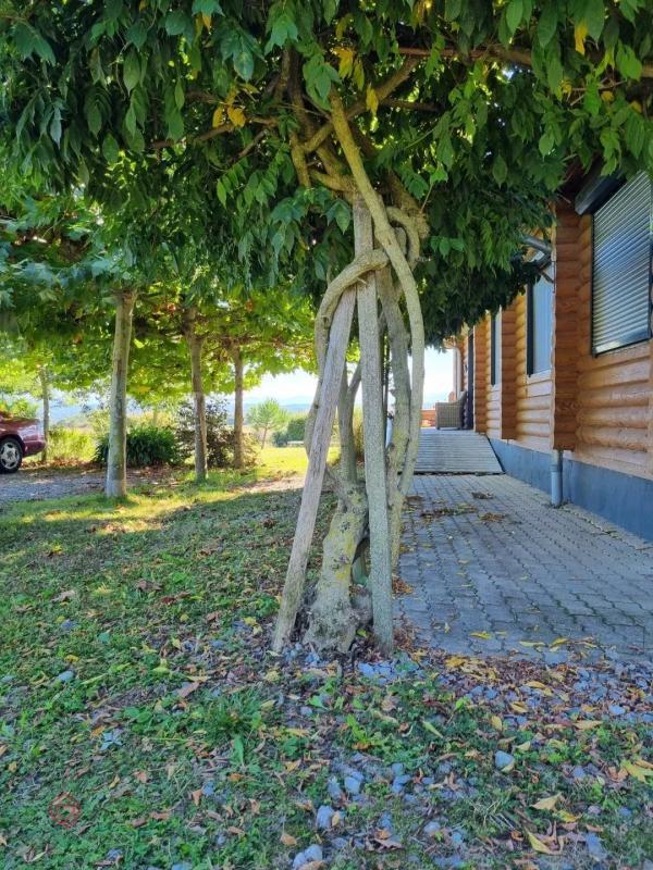 Maison de bois - 180 m² - 5 pièces