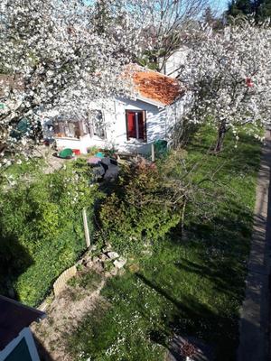 Maison - 38 m² - 2 pièces