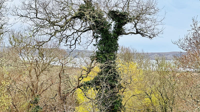 Maison - 134 m² - 5 pièces